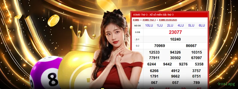 Interface de Apostas ao Vivo - Transmissão e Odds em Tempo Real